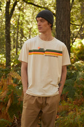 Bear Color Striped Light beige